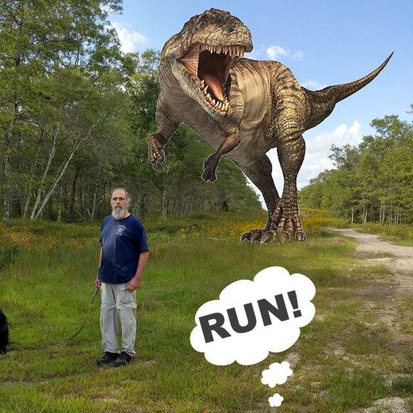 Meet your Posher, Jacqueline - Picture 4 of 12